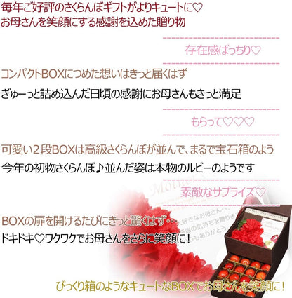 【母の日までお届け】2026 母の日 成澤農園 さくらんぼ ギフト 佐藤錦 M玉 化粧箱入 カーネーション & メッセージカード 付
