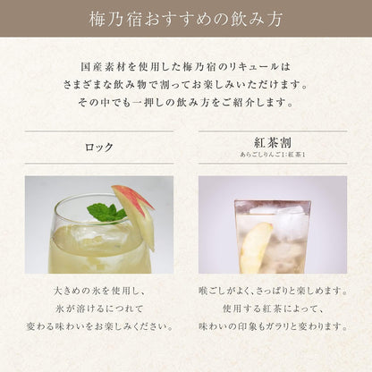 【創業130年の味】梅乃宿 あらごしりんご 1,800ml りんご酒 果実酒 リキュール 日本酒 デザート酒 国産 果肉 果汁 アルコール 7度 お取り寄せ ギフト 贈り物 プレゼント 贈答 手土産
