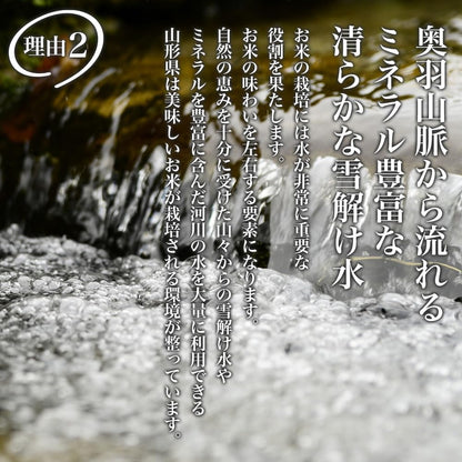 精米 令和７年産 特A 山形県産 つや姫 雪若丸 10kg (各5kg×2) 食べ比べセット 白米 精米 ふるさとファーム