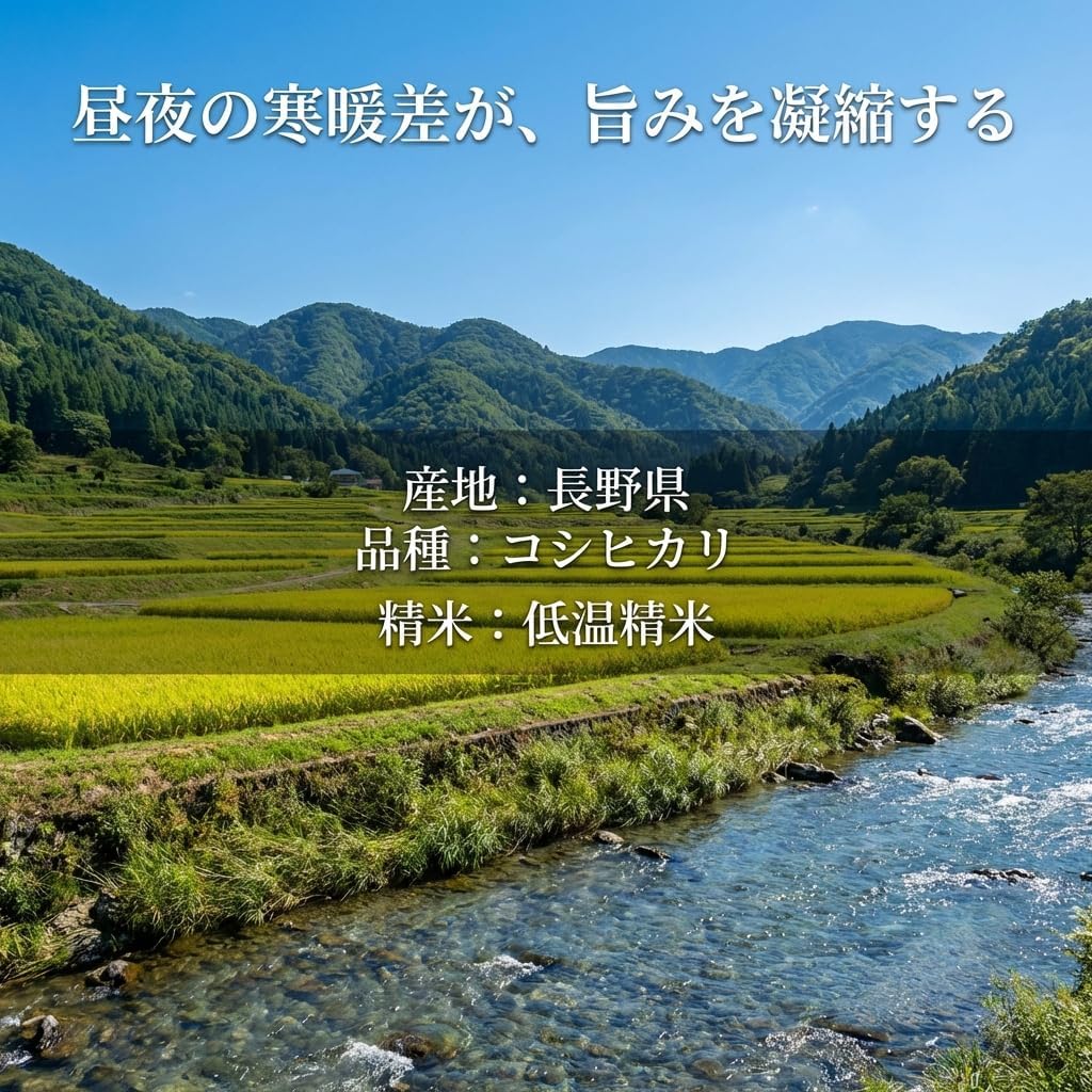 野沢農産 コシヒカリ 5kg 長野県産 令和7年産 通常精米 冷めても粒感が続くお弁当・おにぎり向け 寒暖差育ちの信州米
