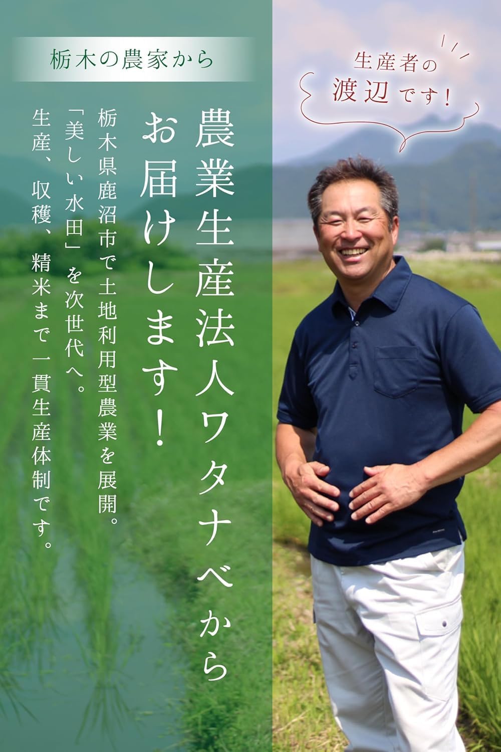 農業生産法人ワタナベ 令和7年産 無洗米 5kg お米 【 大粒 で冷めても美味しい 甘み旨み粒しっかり 】 栃木県 新ブランド とちぎの星 米 おこめ/ 5kg×1袋