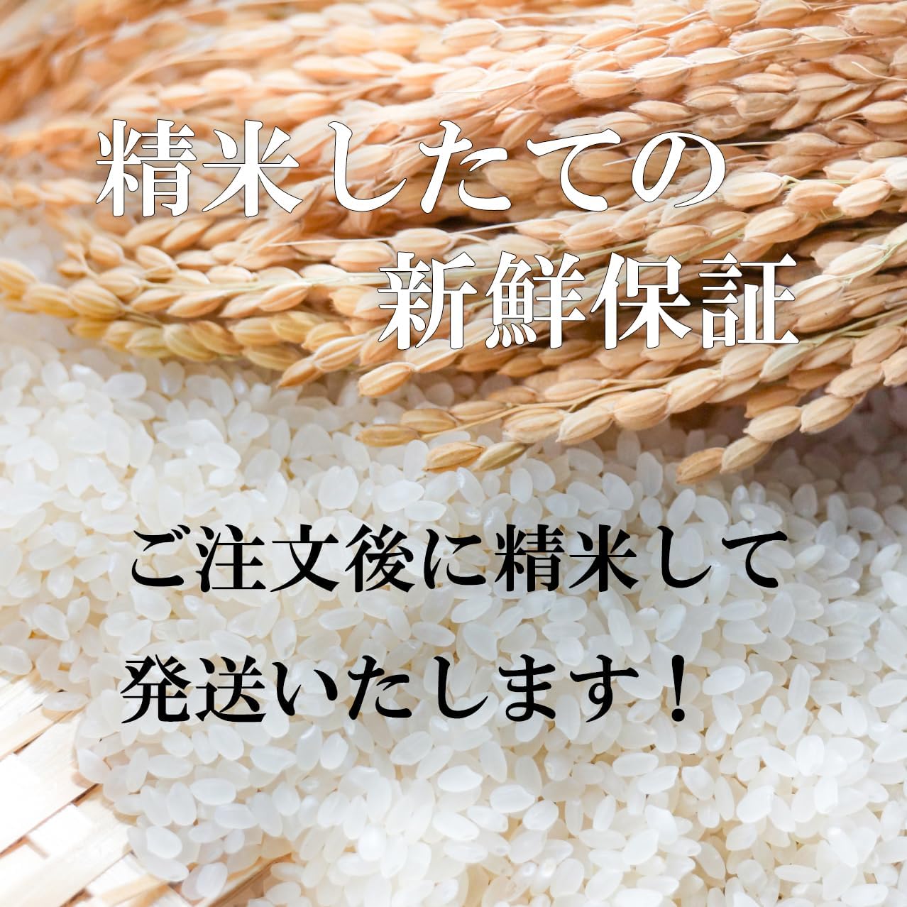 魚沼コシヒカリ 特A米 減農薬米 【 白米 】 令和7年産 魚沼産 特別栽培米 コシヒカリ 令和7年産 玄米 5kg をオーダー精米し精米後は白米4.5kgでお届けします 新潟県 南魚沼産米 白米精米 (精米後約4.5kg)