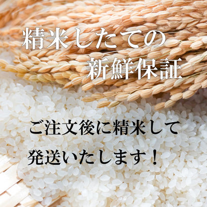 魚沼コシヒカリ 特A米 減農薬米 【 白米 】 令和7年産 魚沼産 特別栽培米 コシヒカリ 令和7年産 玄米 5kg をオーダー精米し精米後は白米4.5kgでお届けします 新潟県 南魚沼産米 白米精米 (精米後約4.5kg)