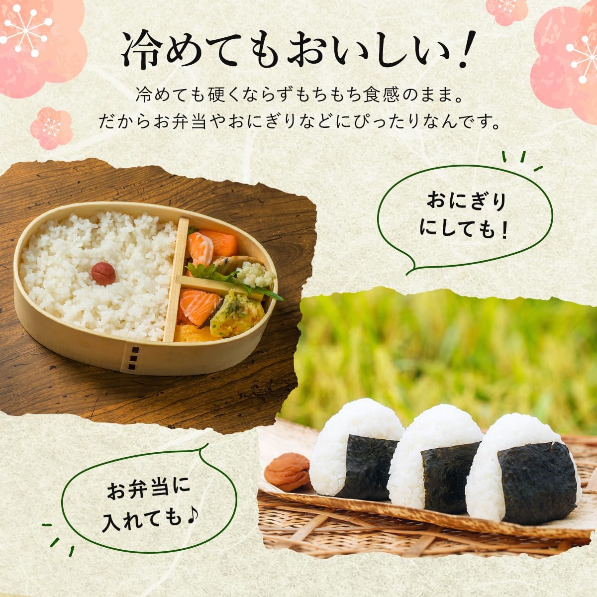 野沢農産 令和7年産 米 お米 無洗米 新潟県 魚沼産 コシヒカリ 5kg mybest 2026年3月受賞