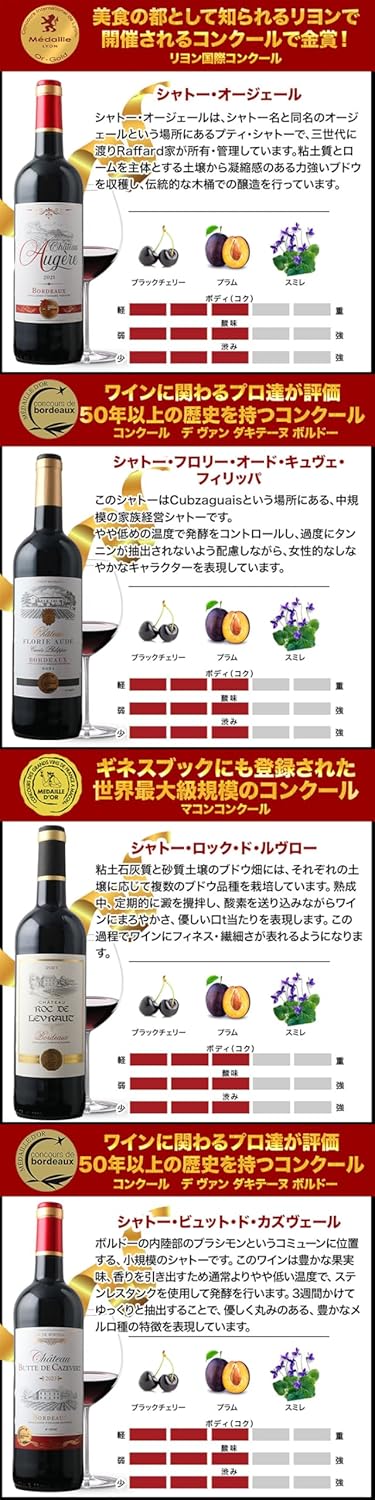 ワインショップソムリエ 16周年記念！金賞ボルドーと元五大シャトー醸造家の赤ワイン12本セット（赤ワインのみ12本）ワインセット フランス