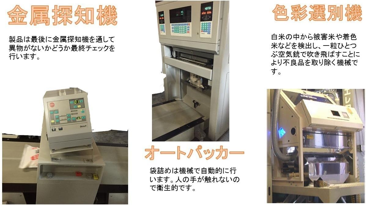 精白米 5kg 昔ながらの新潟産こしひかり 令和7年産 安心安全な特別栽培米