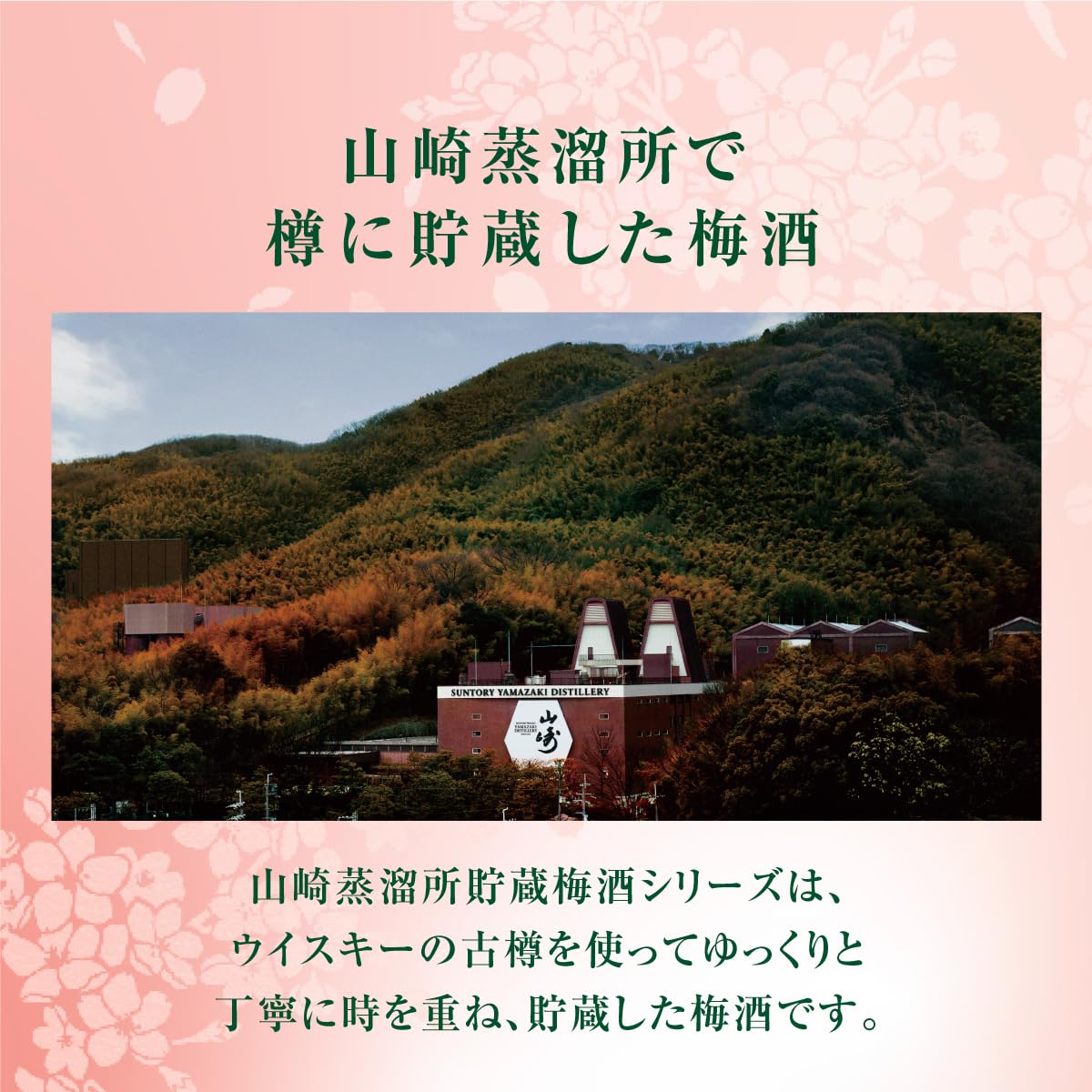 サントリー梅酒 山崎蒸溜所貯蔵梅酒 リッチアンバー桜樽ブレンド [梅酒 750ml ギフトボックス入り ギフトセット]