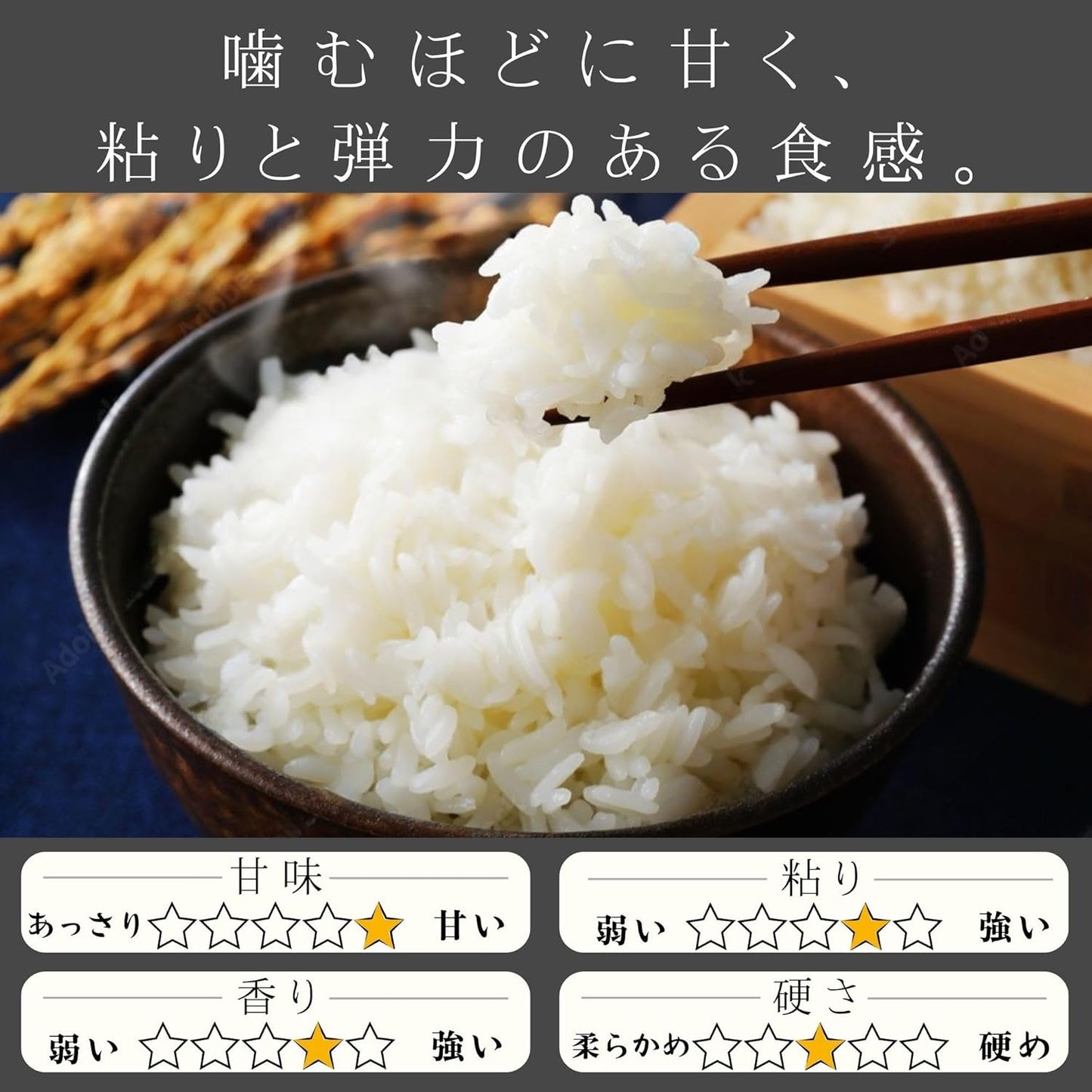 令和7年産 丹波篠山 食宝 米 [ 食味ランキング 6年連続特A評価の希少な お米 ] 兵庫県産 こめ コシヒカリ 贈答用 ギフト 皆が知らない日本の食宝