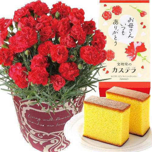 花のギフト社 母の日 花とスイーツ 花 鉢植え カーネーション 花鉢 プレゼント お菓子 スイーツ
