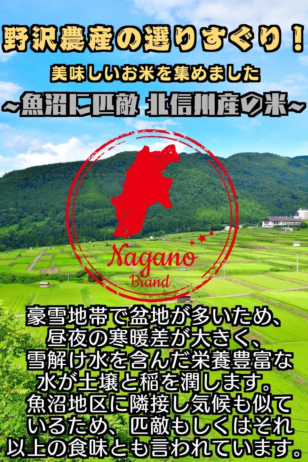 野沢農産 令和7年産 米 お米 無洗米 特別栽培米 コシヒカリ ぶなの水 長野県北信産 (5kg, 通常パック)