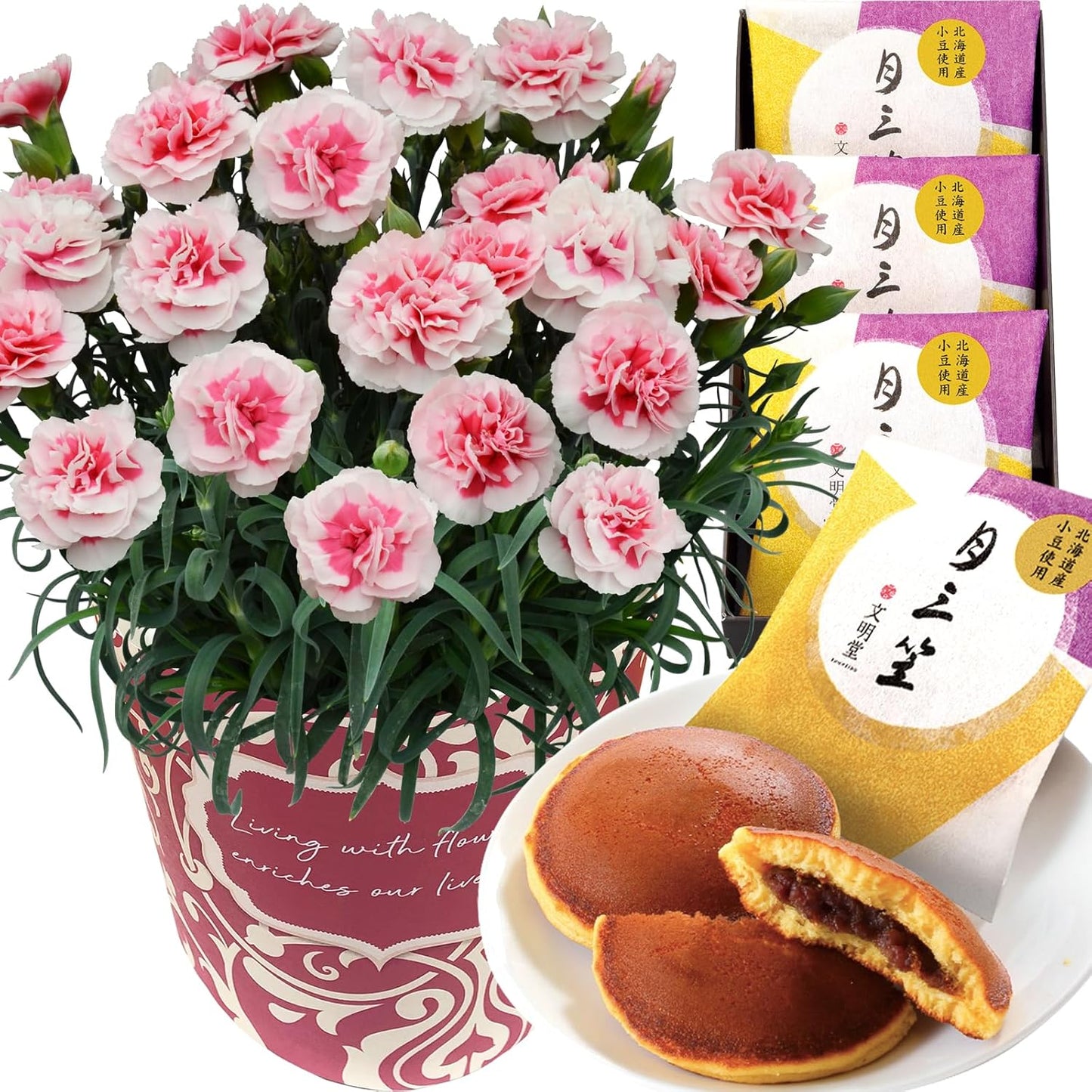 花のギフト社 母の日 花とスイーツ 花 鉢植え カーネーション 花鉢 プレゼント お菓子 スイーツ