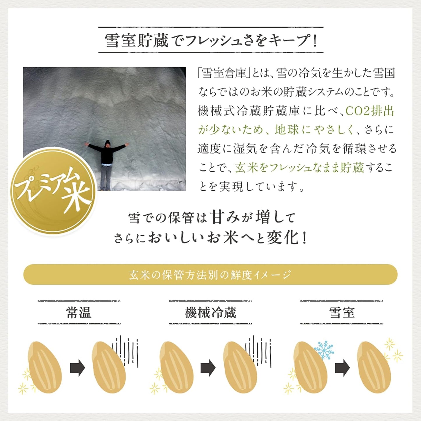 米 5kg 新潟県産 コシヒカリ 令和7年産｜雪室保管・精米したて｜粒感しっかり 冷めてもおいしい お米 こしひかり｜旨い米なら、これこれ