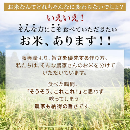 米 5kg 新潟県産 コシヒカリ 令和7年産｜雪室保管・精米したて｜粒感しっかり 冷めてもおいしい お米 こしひかり｜旨い米なら、これこれ