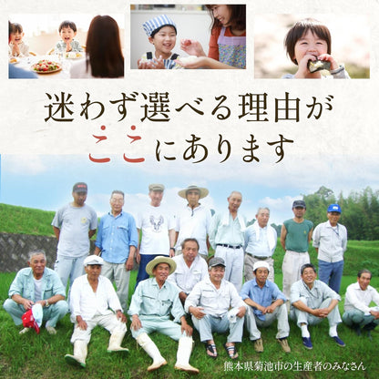 【熊本県産・阿蘇の天然水育ち】 白米 無洗米 5kg 令和7年産 ヒノヒカリ 米 二千年の歴史が色づく米作り/残留農薬ゼロ/放射能ゼロ/重金属基準クリア