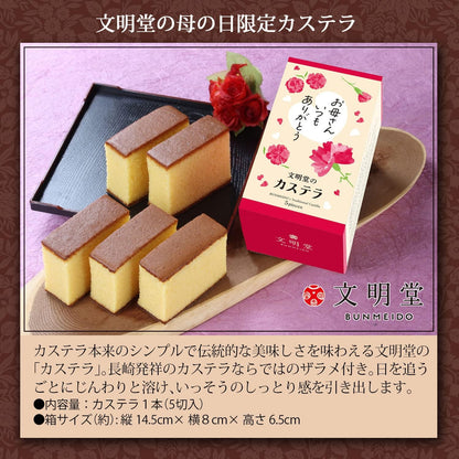 花のギフト社 母の日 花とスイーツ 花 鉢植え カーネーション 花鉢 プレゼント お菓子 スイーツ
