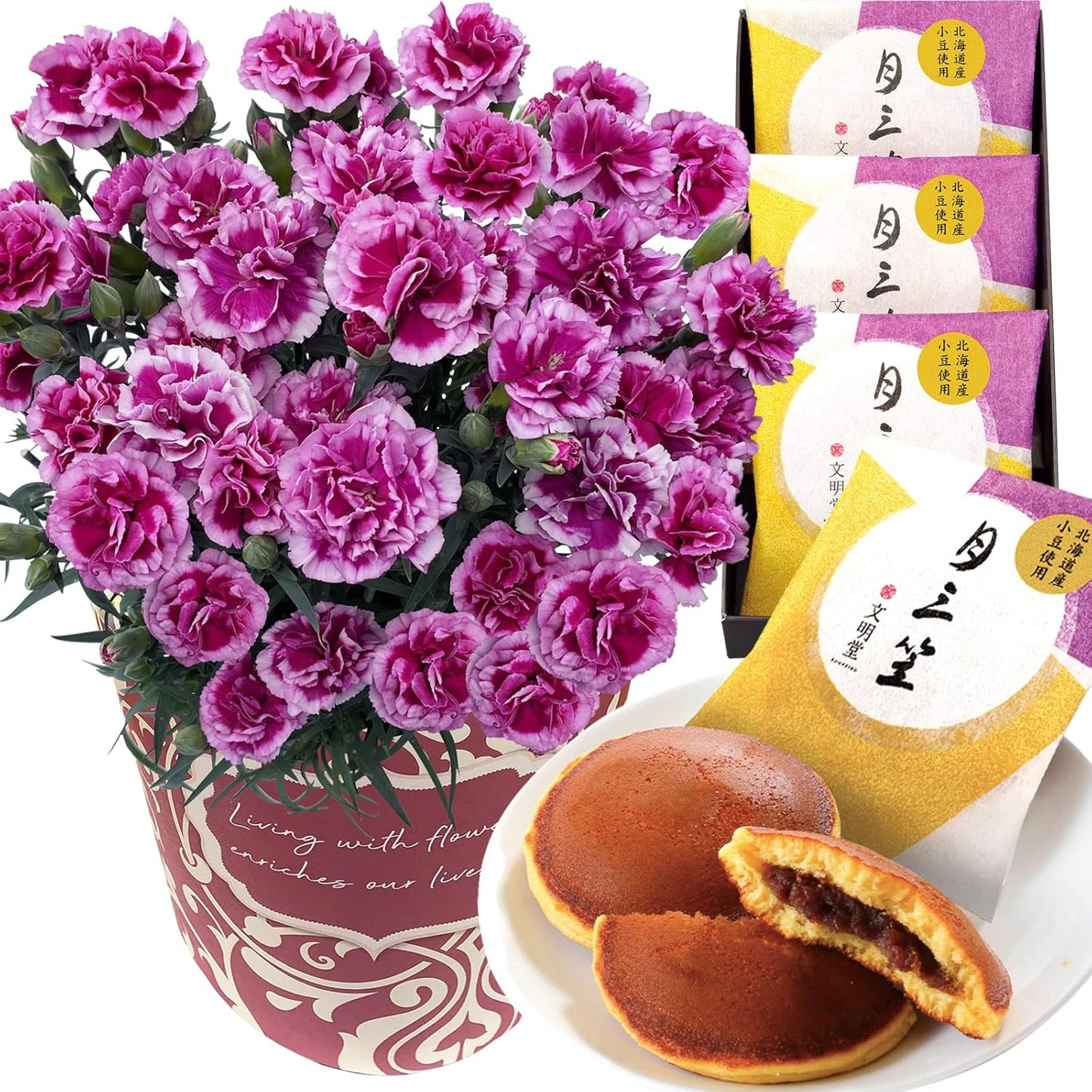 花のギフト社 母の日 花とスイーツ 花 鉢植え カーネーション 花鉢 プレゼント お菓子 スイーツ