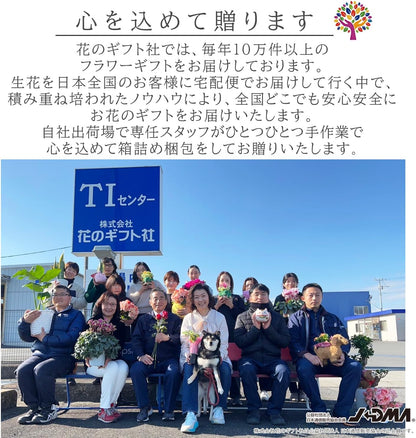 花のギフト社 母の日 花とスイーツ 花 鉢植え カーネーション 花鉢 プレゼント お菓子 スイーツ