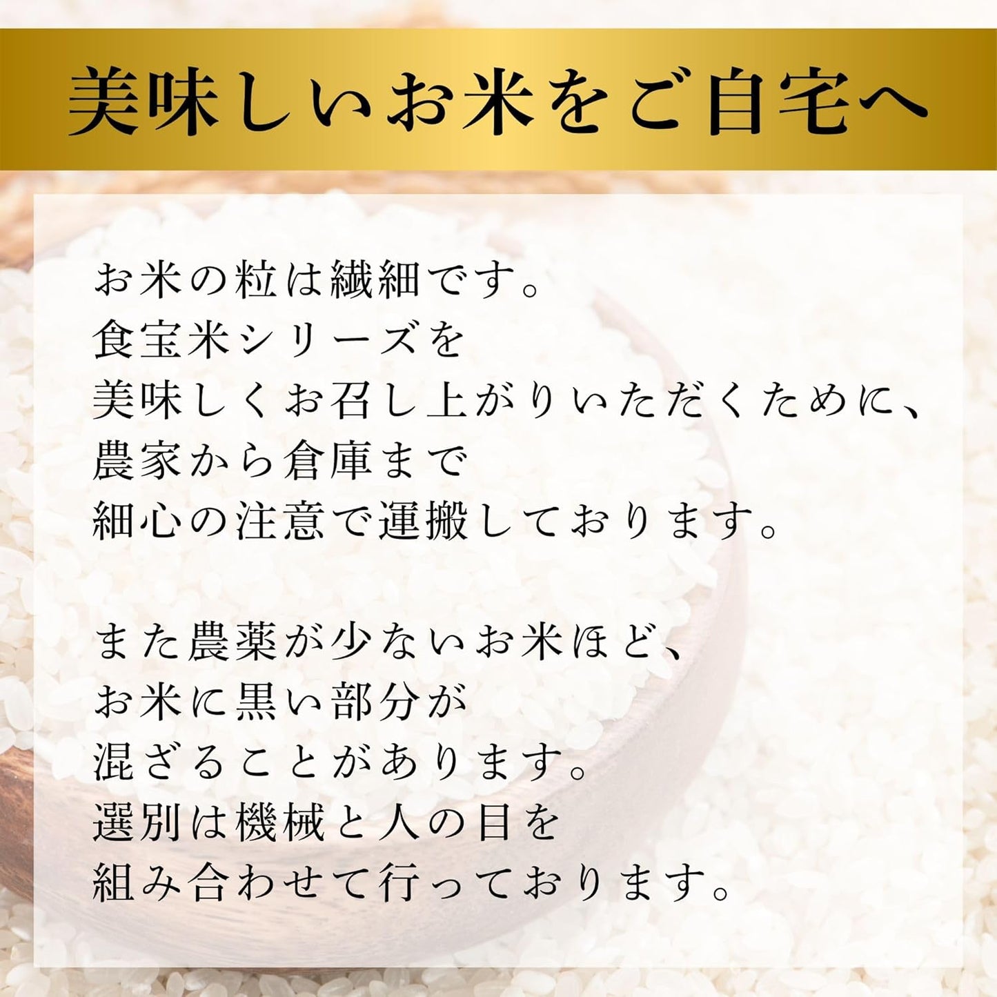 令和7年産 丹波篠山 食宝 米 [ 食味ランキング 6年連続特A評価の希少な お米 ] 兵庫県産 こめ コシヒカリ 贈答用 ギフト 皆が知らない日本の食宝