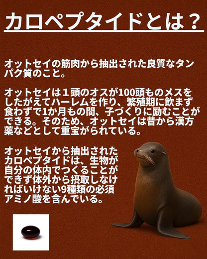 【よみがえる自信】極勃玉 30粒入り カロペプタイド、スッポン、マムシ、スクワレン、ローヤルゼリー