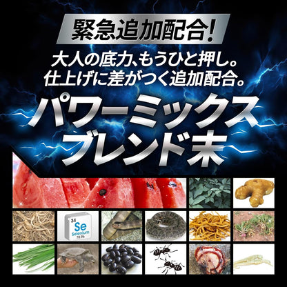 もっとドバの成分量で約60日分 SMENS(サプリメンズ) 獅子奮迅のドバ・ア・エーン もっとドバ 亜鉛 マカ バイオペリン 60粒