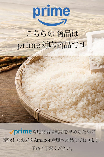 【令和7年産】新潟 岩船産 コシヒカリ 無洗米 5kg 特別栽培米 雪室保管 こしひかり お米 お米場田心