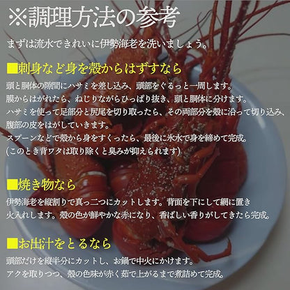 伊勢海老 【千葉県産】 4-6尾 約450g 冷凍 海老/プライドフィッシュ認定品 自宅用 小ぶりの伊勢えび/刺身 味噌汁 おせち 海鮮 エビ 伊勢エビ 伊勢えび