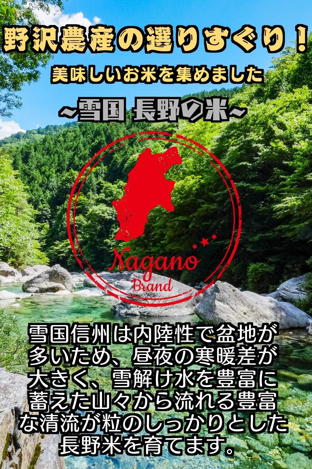 野沢農産 新米 令和7年産 お米 長野県産 無洗米 (5kg, ミルキークイーン)