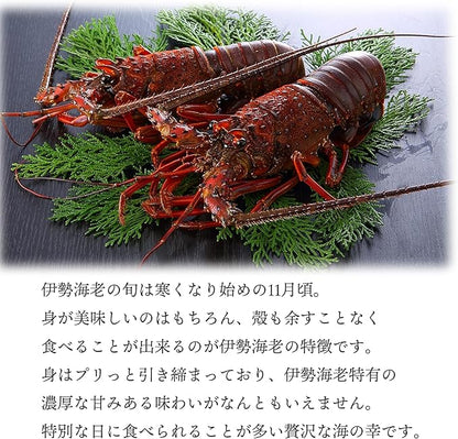 伊勢海老 【千葉県産】 4-6尾 約450g 冷凍 海老/プライドフィッシュ認定品 自宅用 小ぶりの伊勢えび/刺身 味噌汁 おせち 海鮮 エビ 伊勢エビ 伊勢えび