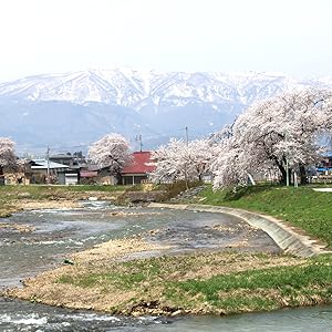 竹城青果 母の日 ぴったり！山形県産 さくらんぼ 佐藤錦 プレミアムボックス Mサイズ