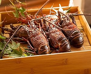 伊勢海老 【千葉県産】 4-6尾 約450g 冷凍 海老/プライドフィッシュ認定品 自宅用 小ぶりの伊勢えび/刺身 味噌汁 おせち 海鮮 エビ 伊勢エビ 伊勢えび