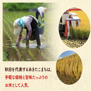【家計お助け米】米 5kg 令和7年産 秋田県産 家計お助け米 あきたこまち 厳選米 単一原料米100％ (5kg×1袋)