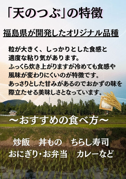 復活お試し価格 福島県産天のつぶ 白米 10kg(5kg×2袋) 令和7年産 送料無料 米 10kg お米 10kg